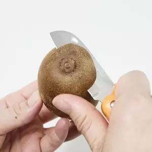 [콩심팥심]과도 접이식 일본산 휴대용 다용도 썬크래프트일제과