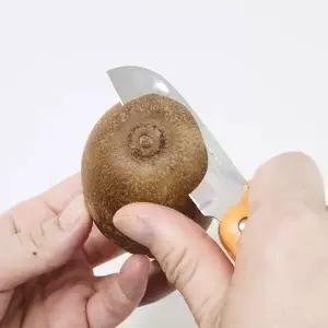 과도 접이식 일본산 휴대용 다용도 썬크래프트일제과