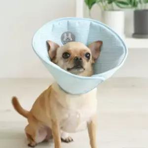 강아지 면소재 양면 넥카라 블루 M 1P 고양이 수술