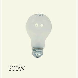 투명 300W E39 인테리어20개입 학교 관공서 백열전구 램프