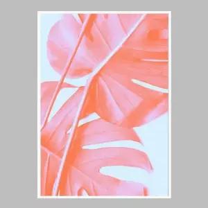 슬림 인테리어액자 Monstera Orange 04 A2사이즈 그림액자
