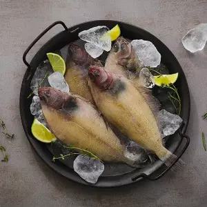 [롯데백화점]자연맛남 손질없이 바로먹는 제주 참가자미 3마리x4팩 총12마리(1.2kg내외)