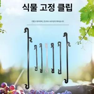 포도 묶기 클립 오이 고리 묶음 버클 지지대