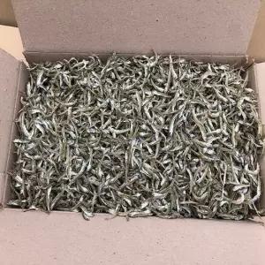 [미각] 국산 최상품 가이리멸치 볶음조림 잔멸치 500g
