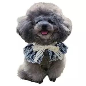 강아지 데님 리본 케이프 1P 면소재 레이스 스카프