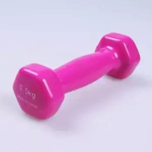 [하프클럽/셀러허브_아웃도어]헬스 홈트레이닝 웨이트 덤벨 운동 0.5Kg