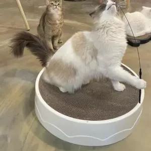 캣워커 고양이 반려묘 스트레스해소 B골 스크래쳐 방석 대형