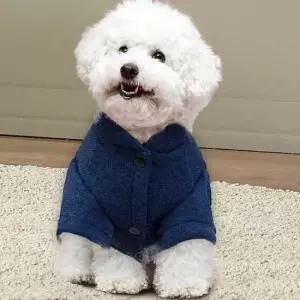 블루 애견옷 애견겨울옷 강아지옷 귀여운강아지옷 강아지옷