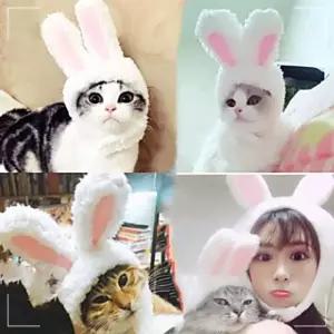 고양이 강아지 애완 토끼귀모자 악세서리 켈리몰 EW784A09