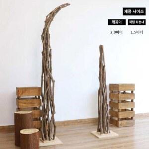 파티세팅 웨딩아치 브라이덜 나무 가든 케이크소품 장식 소뿔 포토프레임 포장 촬영소품 쉬폰