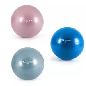 아이워너 안티버스트 짐볼 55cm 스트레칭 운동볼