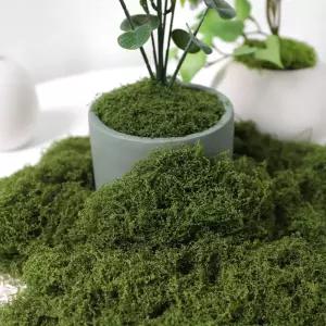 30/50/100g 인공 녹색 식물 이끼 잔디 홈 거실 정원 장식 미니 풍경 가짜 꽃 DIY 공예