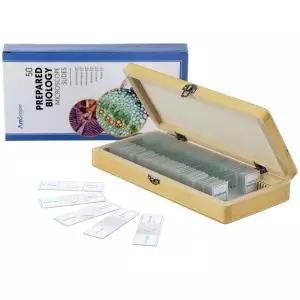 AmScope PS50A 기초 생물학 교육용 현미경 슬라이드 세트 및 병리학 50개 장착된 나무 케이스 포함