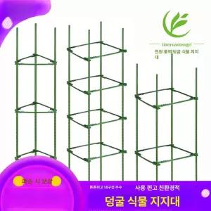 포도나무 지지대 호박 토마토 조선오이 넝쿨 식물 오이