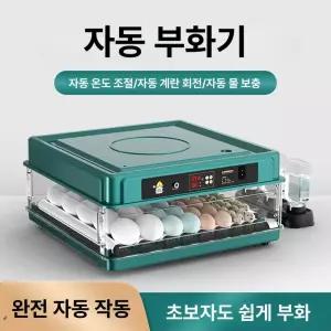 병아리 부화기 자동 계란부화기 알 조류 오리