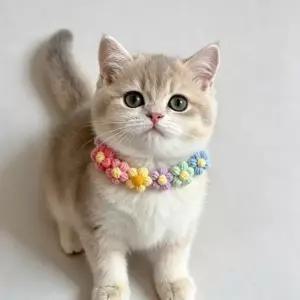 YJR 반려동물 꽃 스카프 강아지 고양이 장식 목걸이 넥케이프
