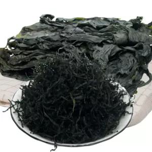 건다시마채 5kg 해양심층수 - 해양심층수 사용, 국물용, 육수용, 해조류