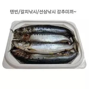 [하프클럽/셀러허브_레저캠핑]153무역 텐빈/갈치낚시/선상낚시 미끼 정어리