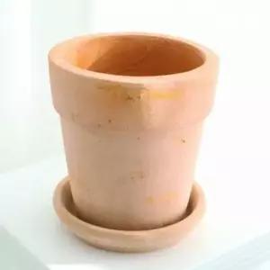 토분 16x17cm 예쁜토분 선인장화분
