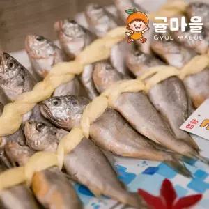 국내산 법성포 영광굴비 특3 40마리 2.8kg 내외