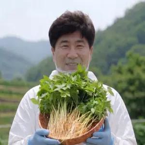 뿌리채먹는 프리미엄 새싹인삼.