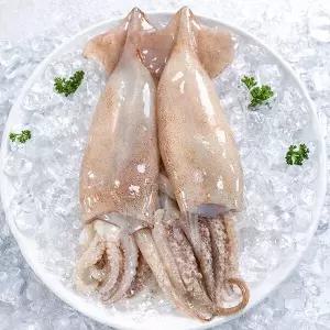 자연산 손질 통오징어 4마리 220g x 2팩 (깨끗손질/간편조리)