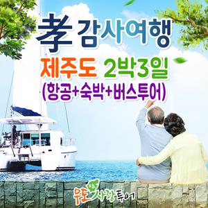 제주도여행/제주도여행패키지/효도여행/2박3일일정/노옵션/버스투어/우도사랑투어
