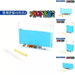 팬시로비 개미 관찰하기 (대) (블루) (1036)/키우기/곤충/채집통/사육장/플라스틱/시험관/장난감/자연/관찰