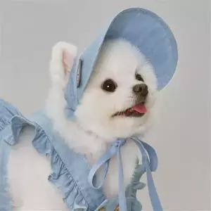 강아지썬캡 애견모자 햇빛가리개 데님 대형견 소형견 반려동물 산책용 여름 선캡 자외선차단
