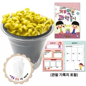 (관찰기록지 포함) 콩나물 키우기/재배기/단체/선물/초등/교구/식물/과학/실험/재배/놀이/키트/세트/체험