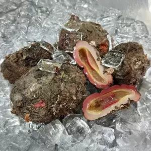 [장보리]남해안 제철 돌멍게 1kg