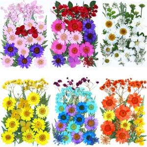 25PCS 세트 DIY 수지 금형 네일 아트 휴대폰 케이스에 대 한 자연 리얼 누르면 꽃 말린 잎 장식
