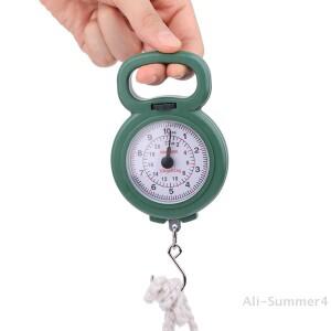 미니 포인터 후크 스프링 행잉 스케일 휴대용 낚시 저울 10kg 용량 음식 디지털 수하물 무게 측정기