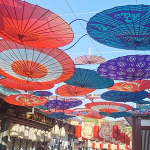 양산 GUFENG 기름 종이 그늘 우산 천장 클래식 우키요시 파라솔 사쿠라