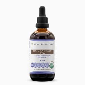 부족의 비밀 말차 녹차 USDA | 무알코올 추출물, 고효능 허브 100% 녹차, 말차(동백나무 시넨시스) 말린 잎(4온스)으로 만들어졌습니다