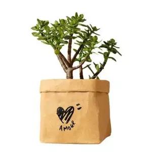 [시스터즈] 냉장고 정리 수납 종이백 페이퍼백 (12264862A)