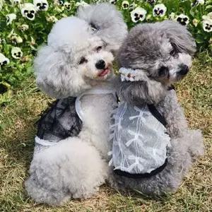 강아지 망사 메쉬 리본 나시티 1P 여름 민소매 시스루
