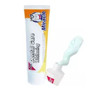 [RIZPICK]강아지 덴탈 케어 구강 치약 70g 1P 누룽지향 치석 반려견구강관리