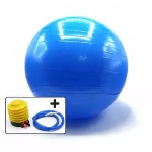 짐볼45cm ARI + 간이펌프 45cm+pump H0434 아리랑과학 과학용품
