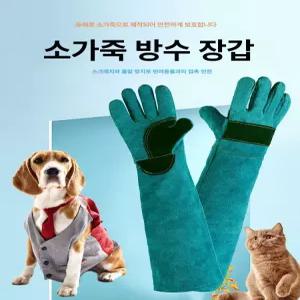 고양이 보호 장갑 훈련 방지 물림 강아지