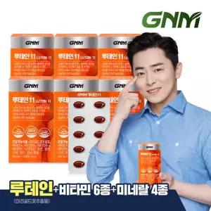 루테인 11 6박스 / 비타민 6종 + 미네랄 4종 눈건강 비타민B 아연 엽산