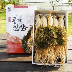 풍기인삼 6년근 750g 원수삼(10~12뿌리)