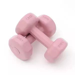 컬러 육각 덤벨 아령 2개세트 1.5kg 핑크