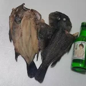 반건조 통영 우럭 2미입 500-600g 대짜 자연산 우럭 반 건조 우럭 말린우럭 건우럭 손