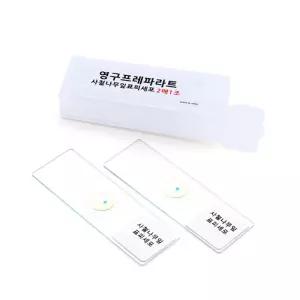 2종1조 사철나무잎 표피세포 프레파라트 현미경 관찰