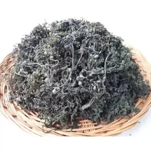 전복마을 말린모자반(건조모자반)500g