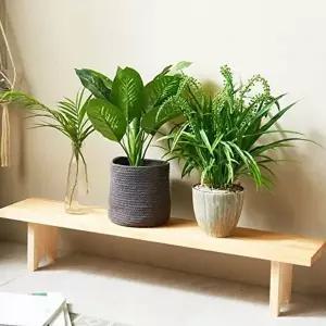고품질 화분 조립식 원목 거실화분 정리대 선반 진열대 다단 베란다 원목화분정리대 WFO63XX
