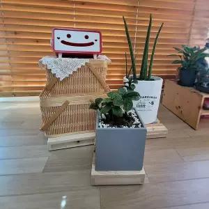[RIZPICK]트레이 우드 나무 화분선반 화분거치대 이동식 바퀴달린 이동받침