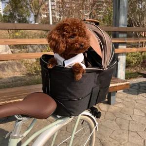 애완견 시트 자전거 바구니 펫캐리어 앞좌석 강아지 라이딩 백팩 여행