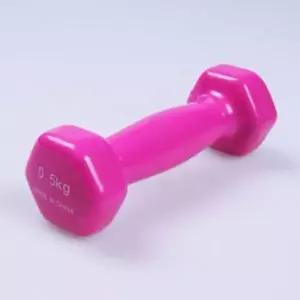 [아웃도어스/셀러허브_아웃도어]헬스 홈트덤벨 홈트레이닝 웨이트 운동 0.5Kg